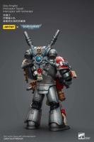 JOYTOY 40k 1/18 figuras de acción Anime 12cm caballeros grises Interceptor Strike Squad juguetes de modelos de colección - details 10