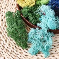 Hierba Artificial para sala de estar, Mini paisaje, plantas verdes, flores falsas, decoración de jardín, musgo eterno, plantas artificiales - details 13