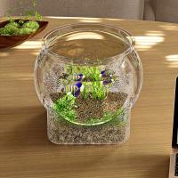 Pecera redonda Ultra transparente, tanque de visualización extraíble de plástico, decoración decorativa de escritorio con vista de 360 grados, pequeño acuario, decoración de escritorio - details 9