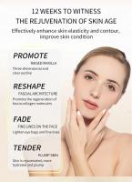 Mini masajeador ultrasónico de mano 7D para estiramiento facial, máquina de belleza para SPA, eliminación de arrugas, antienvejecimiento, estiramiento de la piel, cuidado de los ojos - details 0