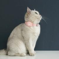 Collar Locator para Mascotas de Nylon que Brilla en la Oscuridad Ajustable, Anti-Pérdida, Cubierta Protectora de Silicona para AirTag - details 10