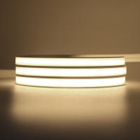 GAHADA Tira de LED COB Neón con Interruptor de Sensor PIR 320LEDs/m, Impermeable IP67, Gel de Sílice - details 8