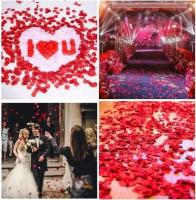 Pétalos de Rosa Artificiales 6000/100Pcs Rojo, Blanco, Oro Ideal para Bodas Románticas y Fiestas - details 7