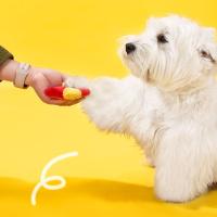 Divertido juguete para masticar para perros, juguete chirriante con forma de letra, resistente a mordeduras, juguetes de peluche para mascotas con sonido, juguete para masticar para aliviar el aburrimiento - details 5