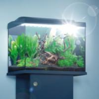 Tetra Light Wave