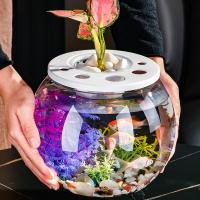 Recinto para tortugas, pecera transparente pequeña, terrario de tortuga de plástico inastillable con tapa, tanque de peces dorados, decoración del hogar - details 5