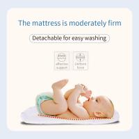 Cama de Bebé para Recién Nacidos Portátil y Plegable - Diseño Ergonómico Anti-Aplastamiento para Viajes y Hogar |   Material Seguro - details 4
