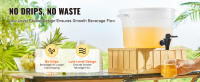 SucceBuy Dispensador de bebidas, 3 galones, bebidas para fiestas, plástico, espiga y tapa, jugo, té, agua, restaurantes, hoteles - details 1