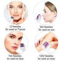 Sistema de rodillos de belleza 6 en 1, instrumento de agujas cosméticas y para el cuidado de la piel de titanio para la cara - details 8