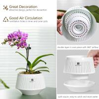 Orquídeas perforadas, plantas de interior y exterior de plástico reciclado, ETA para decoración del hogar. - details 2