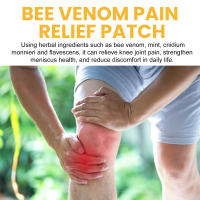 Adhesivo para el cuidado del veneno de abeja para aliviar el dolor muscular de la columna lumbar, la rodilla, el dolor muscular, el cuidado de las articulaciones - details 6