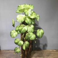 Planta artificial de 55 cm, utilizada para decoración de paredes, láminas de plástico, mini higos verdes, ramas de palma falsas, hogar, jardín y hotel - details 0