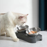 Lindo cuenco para gatos con soporte, comedero para mascotas individual/Doble - details 7