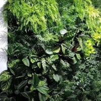 Panel de pared de plantas artificiales DIY, vida eterna, protección UV, alfombra de eucalipto Artificial, duradera y realista - details 38