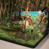 Decoración de Árbol de Tronco Natural Adorno de Acuario de Peces y Reptiles - details 3