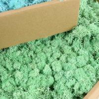 Plantas Artificiales de Colores Hierba Siempre Verde Ideal para Decoración de Hogar, Jardín, Habitación Flores Falsas - details 5