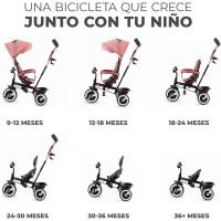 Triciclo Evolutivo, Bicicleta Sin Pedales, Bicicleta Bebe, Plegable, Para Niños, Cinturón, Con Accesorios, Portavasos, Cesta, 9 Meses a 25 kg, Verde - details 16