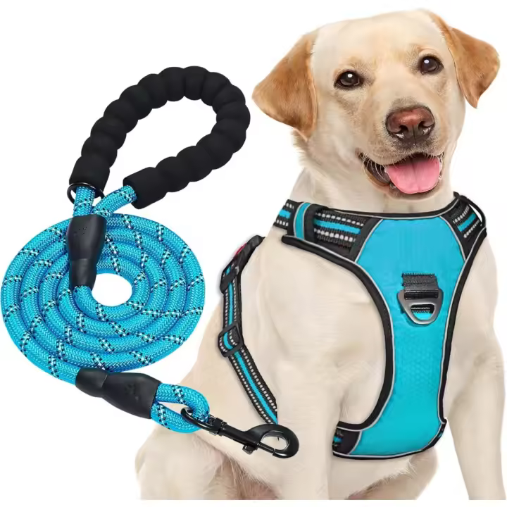 Arnés para Perro sin Tirar, Ajustable, Reflectante, Oxford, fácil de controlar, Mediano y Grande, con una Correa para Perro resina - 1