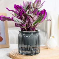 ETA transparente de doble capa, jarrón de plástico con pulverización automática, mesa ETA perezosa, decoración del hogar, jardín y oficina - details 7