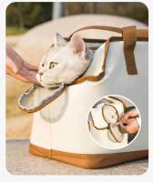 Bolsa transpirable para mascotas, mochila portátil para uso al aire libre, plegable, para gatos y perros, todas las estaciones - details 2