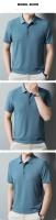 Camiseta de manga corta de seda helada con agujeros de malla para hombre de alta gama, polo transpirable con solapa, ropa de marca, novedad para el verano - details 10