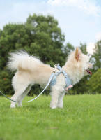 Correa de arnés para mascotas ajustable Set de correa de 1.2m para cachorros, gatos, perros franceses, chihuahuas Caminatas al aire libre - details 3