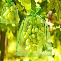 50pcs-Grape-Protection-Strawbe