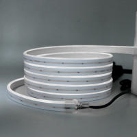 Luz de neón impermeable IP67, lámpara Solar de 12V, 120LED/M, tira de neón de 3000K, 6000K, blanco, rojo, verde, azul, cinta Flexible de luz LED - details 2