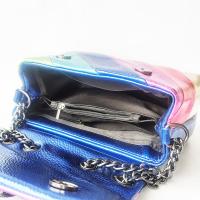 Moda Nuevo Arco Iris Color Empalme Bolsa Pájaro Cabeza Cadena Hombro Crossbody Señoras Bolsa - details 15