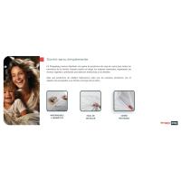 Bed Bugs P - A+ P ES