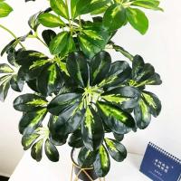 Gran Planta Tropical Falsa Cabeza de 75cm, Hojas de Monstera, Jungla de Plástico, Palma Falsa - details 3