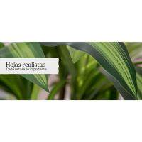 dracena artificial