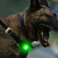 Luz de Noche para Perros Collar con Luz LED Recargable por USB Suministro de Seguridad para Mascotas Colgante de Reflejos Anti-Perdido - details 1