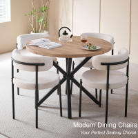 Un juego de 4 sillas de comedor de estilo nórdico, sillas de comedor modernas de terciopelo Teddy, patas de metal para cocina/sala de estar - details 0