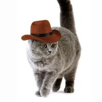 Sombrero de Cowboy de Alta Calidad Ajustable Interior, Cómodo para Mascotas - details 11