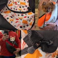 Bolso de hombro para mascotas, bolsa de viaje para perros, de malla Oxford, cómodo, S/L - details 13