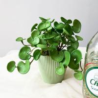 Plantas de hierba de moneda de cobre Artificial suave, hojas de hiedra falsas hechas a mano realistas, Mini ramo para colgar en la pared, decoración del hogar - details 2