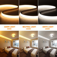 Tira de neón COB para exteriores, cinta Flexible de alto brillo, impermeable IP65, 220 LED/m, RA90, para decoración del hogar y el jardín, 288 V - details 7