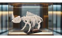 Elasmotherium (Siberian Unicorn), Compatible with Lego