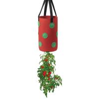 Colgante de fieltro multifuncional de 12 agujeros, tomate, fresa, éter, verduras, flores, bolsa de cultivo de plantas, jardín ETA - details 2