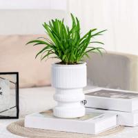 Flor hidropónica perezosa, absorción automática de agua, autorriego, planta de plástico ETA, decoración del jardín del hogar - details 4