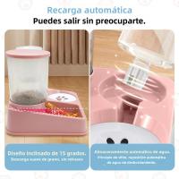 Alimentador automático para gatos, juego de dispensador de agua 2 en 1, Alimentador automático inclinado para mascotas - details 3