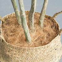Ropa de cama para mascotas, fibra de coco, mantiene la temperatura de la superficie del suelo, patrones de flores de jardín - details 4