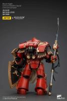 JOYTOY 40k 1/18 Figuras de acción Anime 13,6 cm Blood Angels Crimson Paladins Squad - details 5