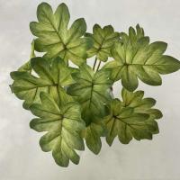Boda falsa glicina plantas simuladas impresas en 3D, espalda de tortuga de plástico, hojas de manzana verde de bambú, decoración del hogar - details 23