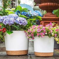 ETA interior circular grande de plástico para plantas jugosas, bonsái eterno con bandeja de drenaje, decoración del hogar y jardín - details 13