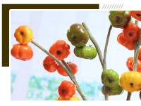 Nuevo adorno de espuma de rama de calabaza Artificial Multicolor, accesorios para fotos de fruta de imitación, regalo de rama de calabaza de simulación - details 3
