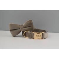 Juego de Collar y correa de terciopelo para perro, placa de identificación grabada personalizada, suministros para mascotas, color gris claro, 12 - details 6