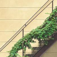 Plantas Hiedra Artificial