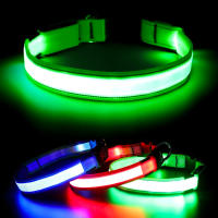 Correa LED de nailon para perro, Collar fluorescente luminoso de seguridad nocturna que brilla en la oscuridad - details 11